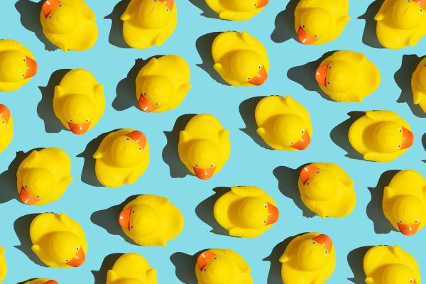 Collection of yellow rubber ducks on a blue background